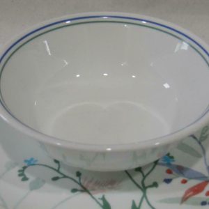 1 Corelle Boutique MONTEVERDE 18-oz SOUP BOWL Cereal Salad *Green Blue Band Rim