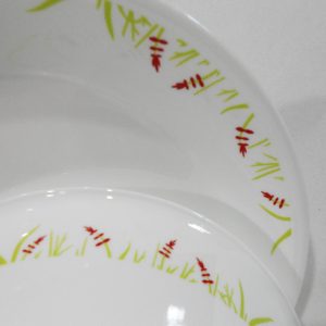 NEW 2-pc CORELLE BREEZE Serving PLATTER & 1 Qt BOWL Red Green India Crops