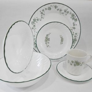 ❤️ 21-pc Corelle CALLAWAY DINNERWARE SET + Serving Bowl GREEN IVY Swirled Rims