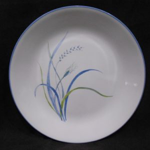 1 Corelle COASTAL BREEZE Sandstone SMOOTH COUPE DINNER PLATE *Ocean Blue Green