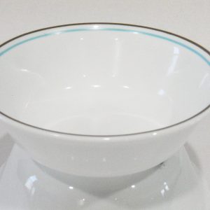 Corelle TREE BIRD 18-oz SOUP CEREAL BOWL 6 1/4  *Turquoise Blue & Brown Bands